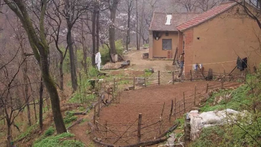 终南山书院 | 回归自然的诗意栖居-83