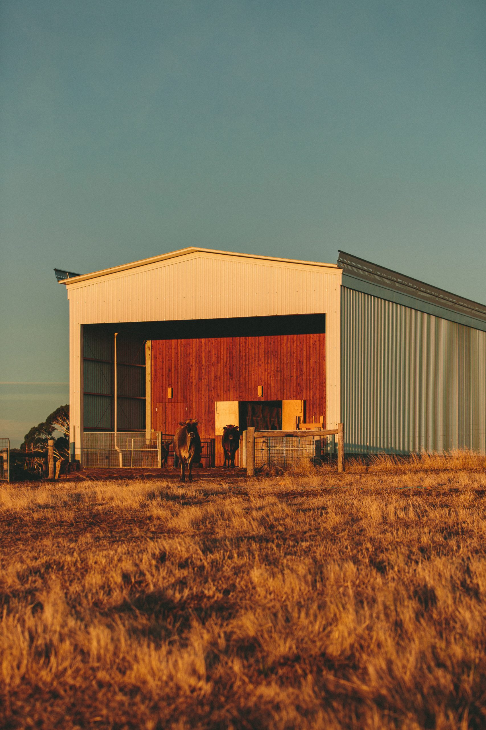 澳大利亚林地里的百米长屋-34