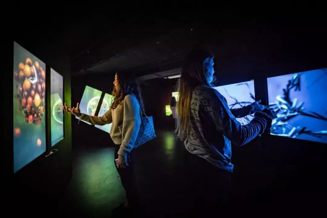 视界 | AI数字乐园，置身于外星生物组成的海底世界！-1