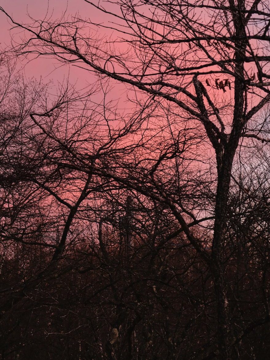 八岳之家丨日本福冈丨下川徹建筑设计事务所TORU SHIMOKAWA Architects-57