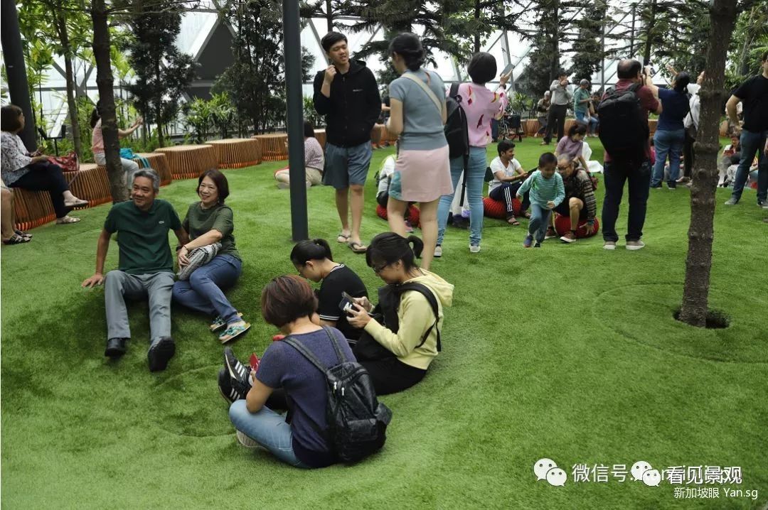 星耀樟宜 | 雨漩涡与绿意交织的机场奇迹-84