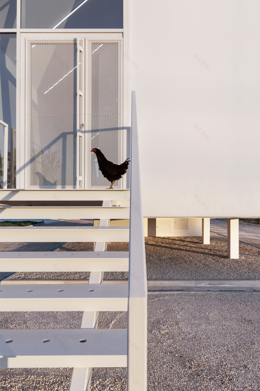 果园中的家园-34