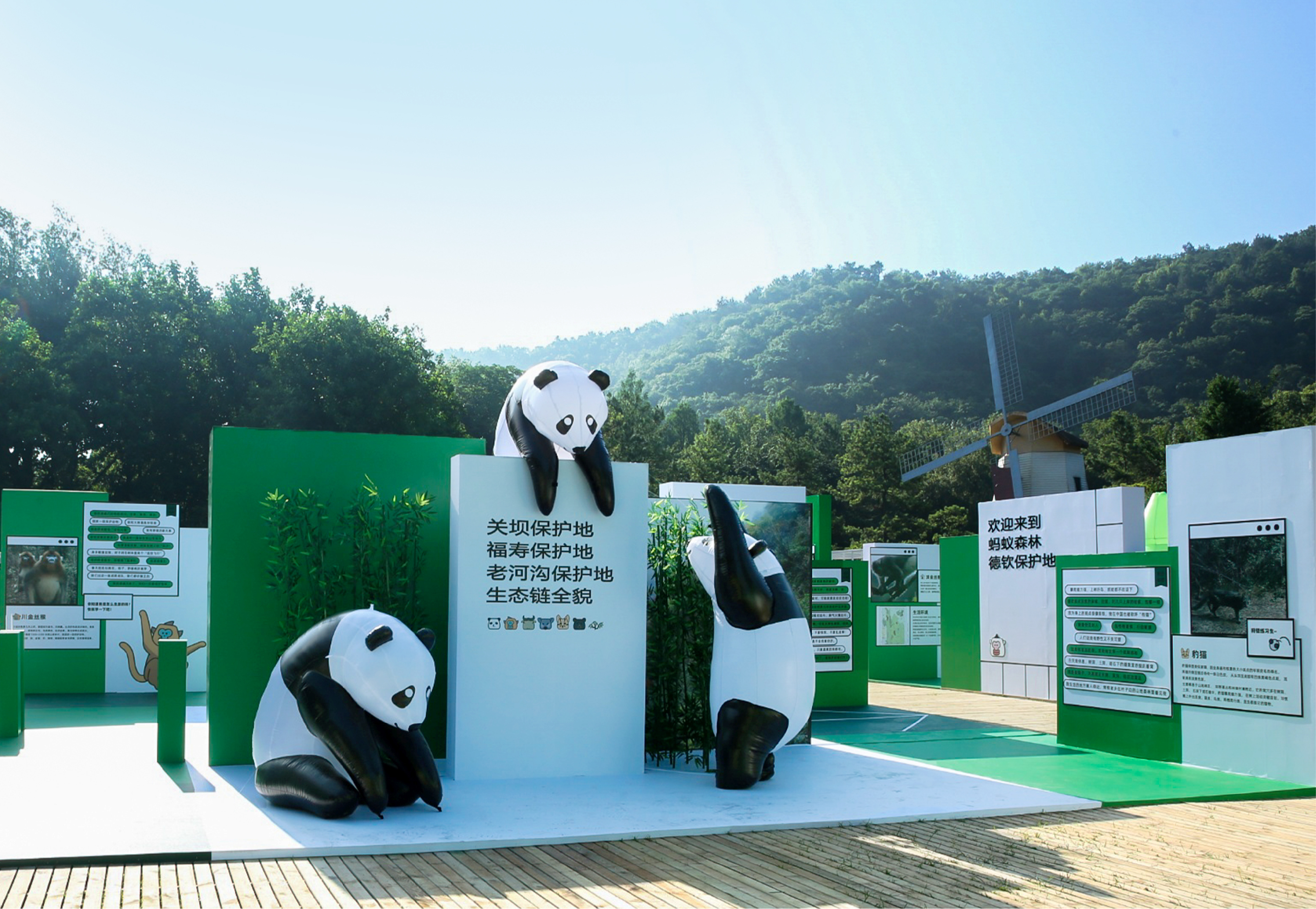 《森林LAB · 城市里的荒漠森林》互动展览丨中国杭州丨蚂蚁森林×不是美术馆-14