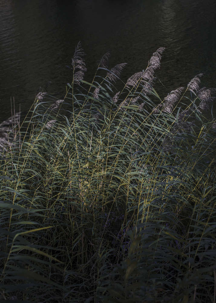 瓦利斯三年展

注：Triennale常见指三年展，Valis不太明确其具体含义，如果它是特定人名、地名、品牌名等，需结合具体背景确定更合适的译法，这里暂按字面音译处理 丨瑞士-20