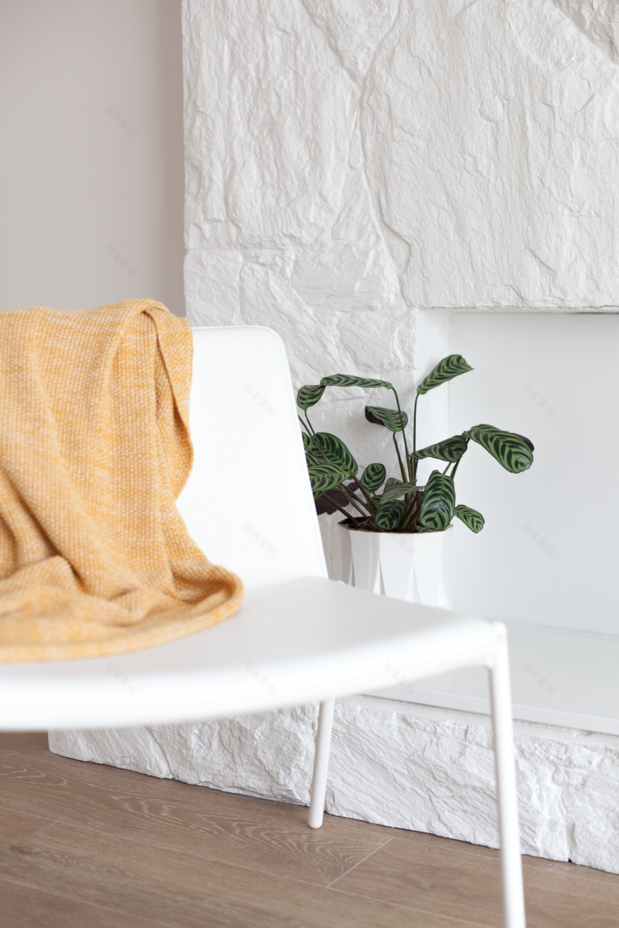 温哥华 Lam Residence 现代住宅设计-6