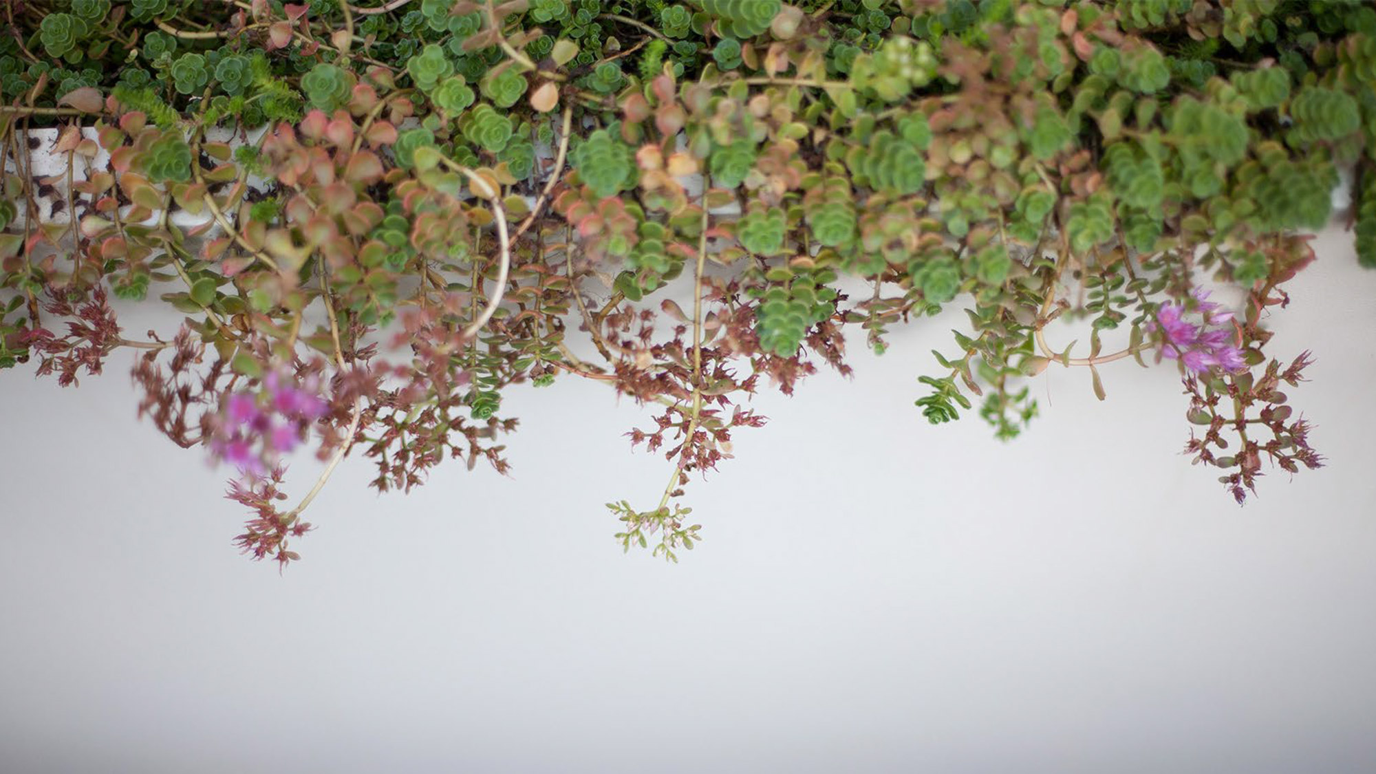 丨美国芝加哥-22