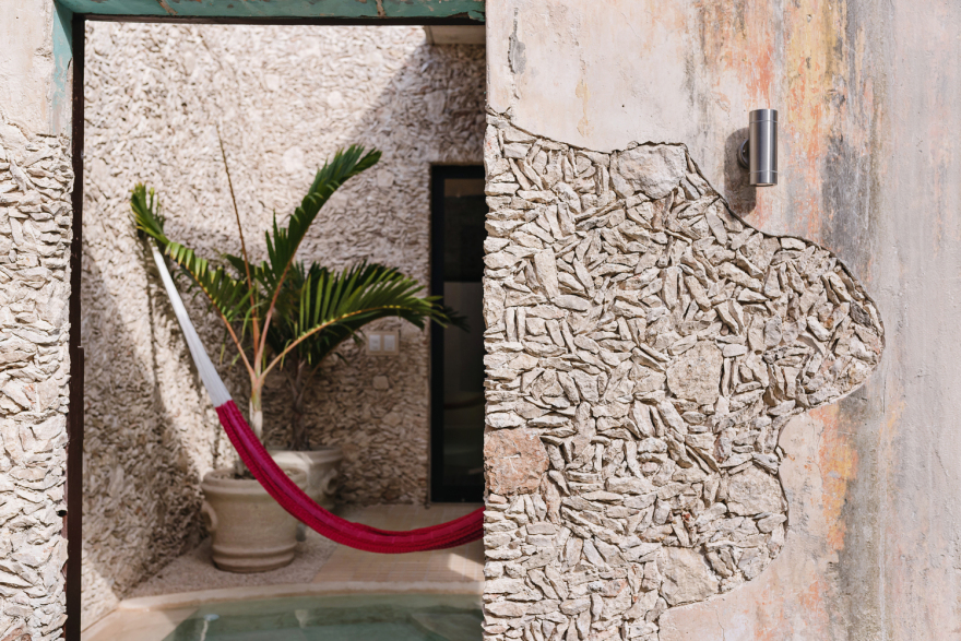 Xolotl House Punto Arquitectónico-44