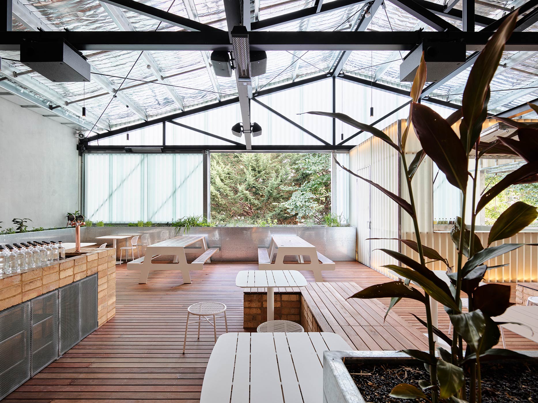 呼吸公司出品的四柱杜松子酒-6