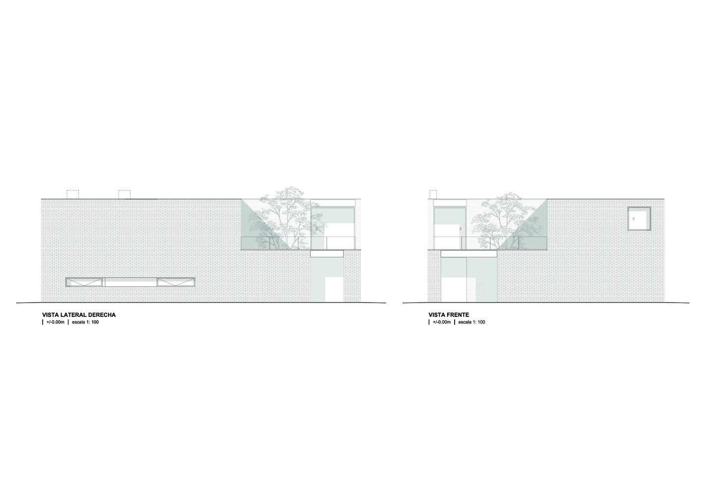 绿意盎然的新 Newman House-50