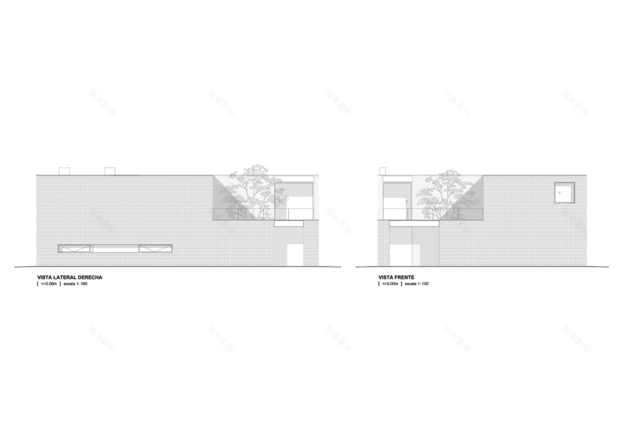 绿意盎然的新 Newman House-50