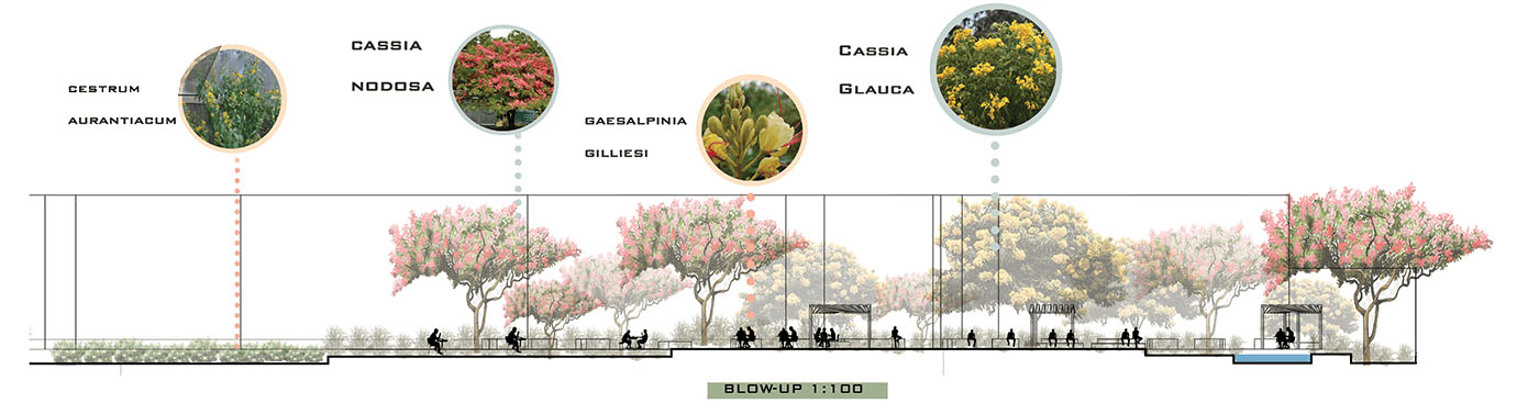 ORIGAMI Zayed 校园景观设计丨埃及开罗丨开罗大学工程学院建筑系-25