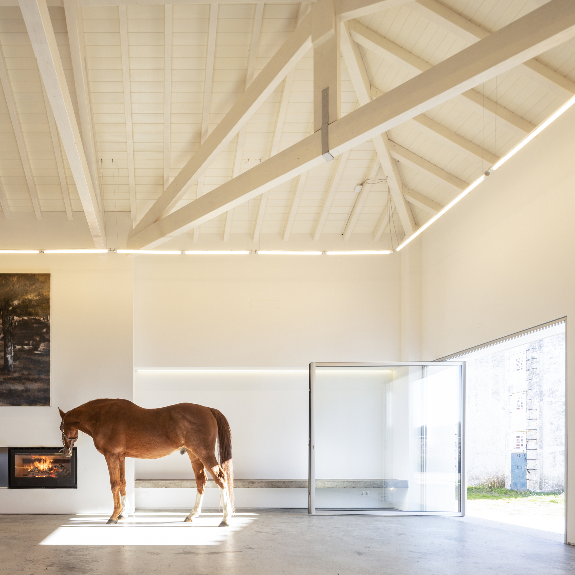 Landscape Observatory of Charneca / Joao Morais-18