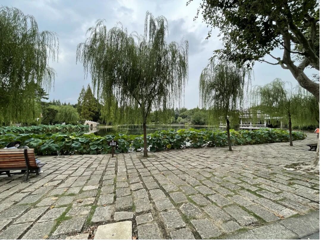 中国园林·理事专栏|“拓”之力量：杨浦公园改造纪实(三)-32