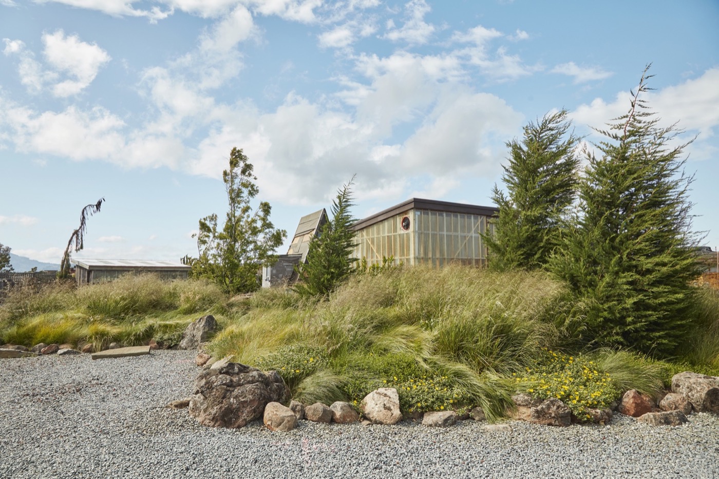 加州海滨波西米亚风 Varda Landing 社区景观设计丨美国加利福尼亚丨Terremoto-6