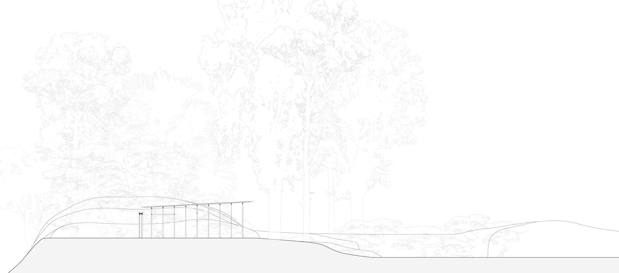 丛林开放日丨哥斯达黎加丨Ksymena Borczynska-35