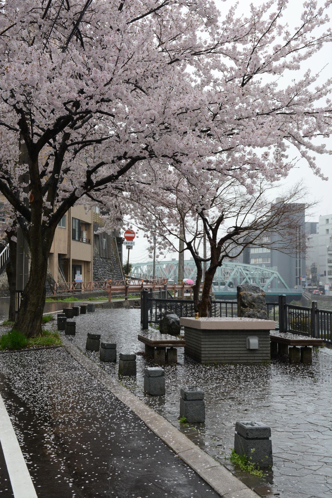 谷口吉郎·吉生纪念 金泽建筑馆丨日本丨谷口吉生-66