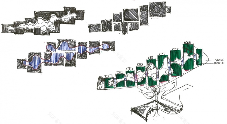 比利时代瑟尔社会住宅 | 共享、集体生活的创新设计-9