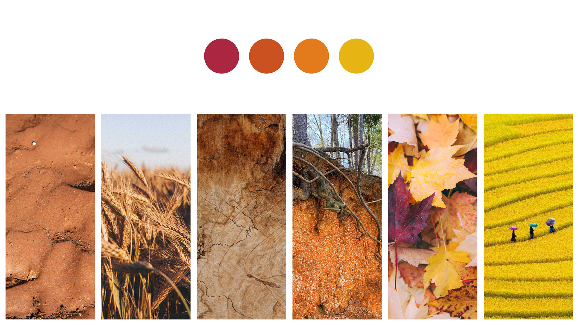 Cargill 室内设计项目丨阿根廷罗萨里奥-21