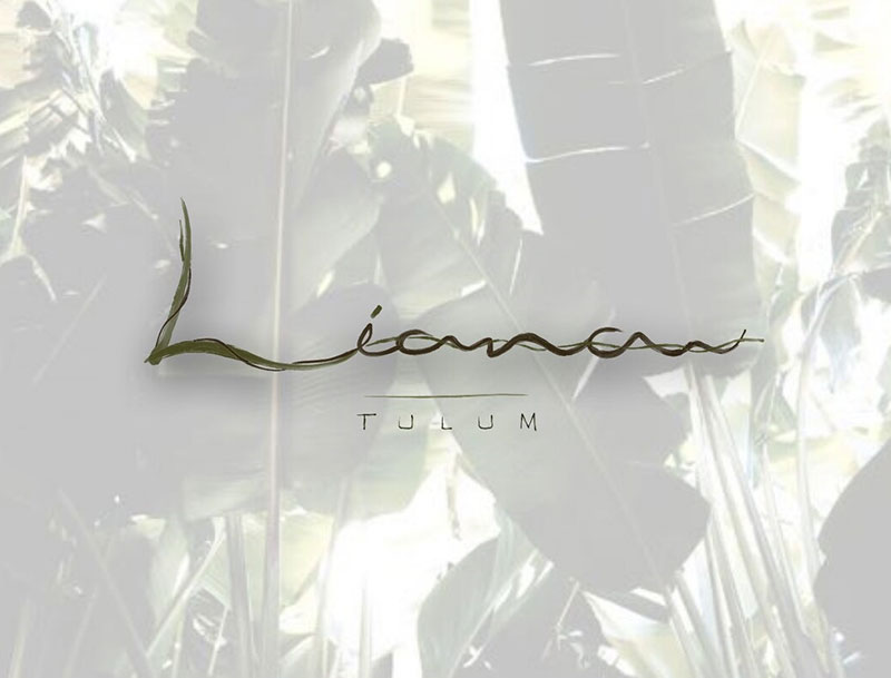 墨西哥热带雨林中的双层公寓-23