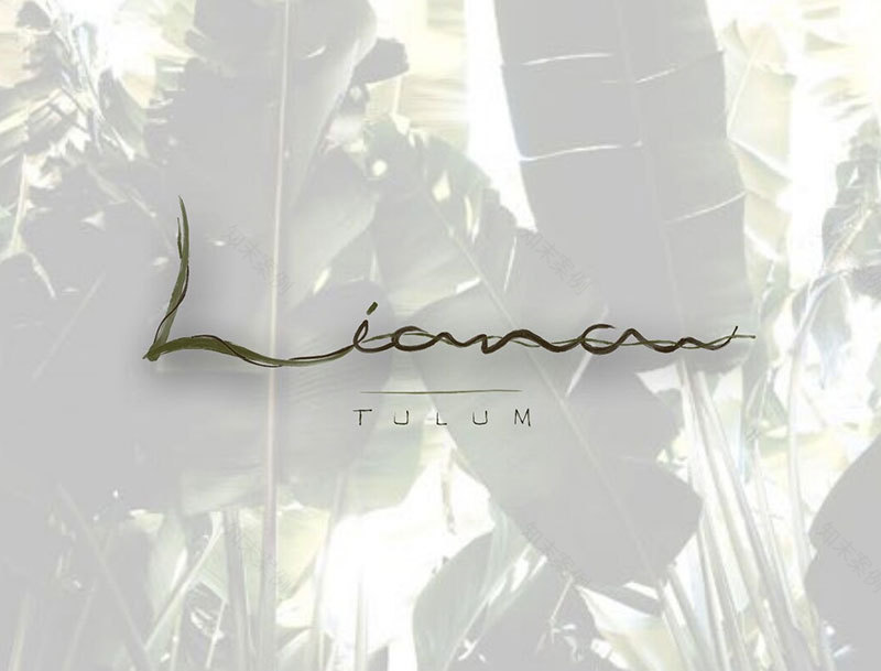 墨西哥热带雨林中的双层公寓-23