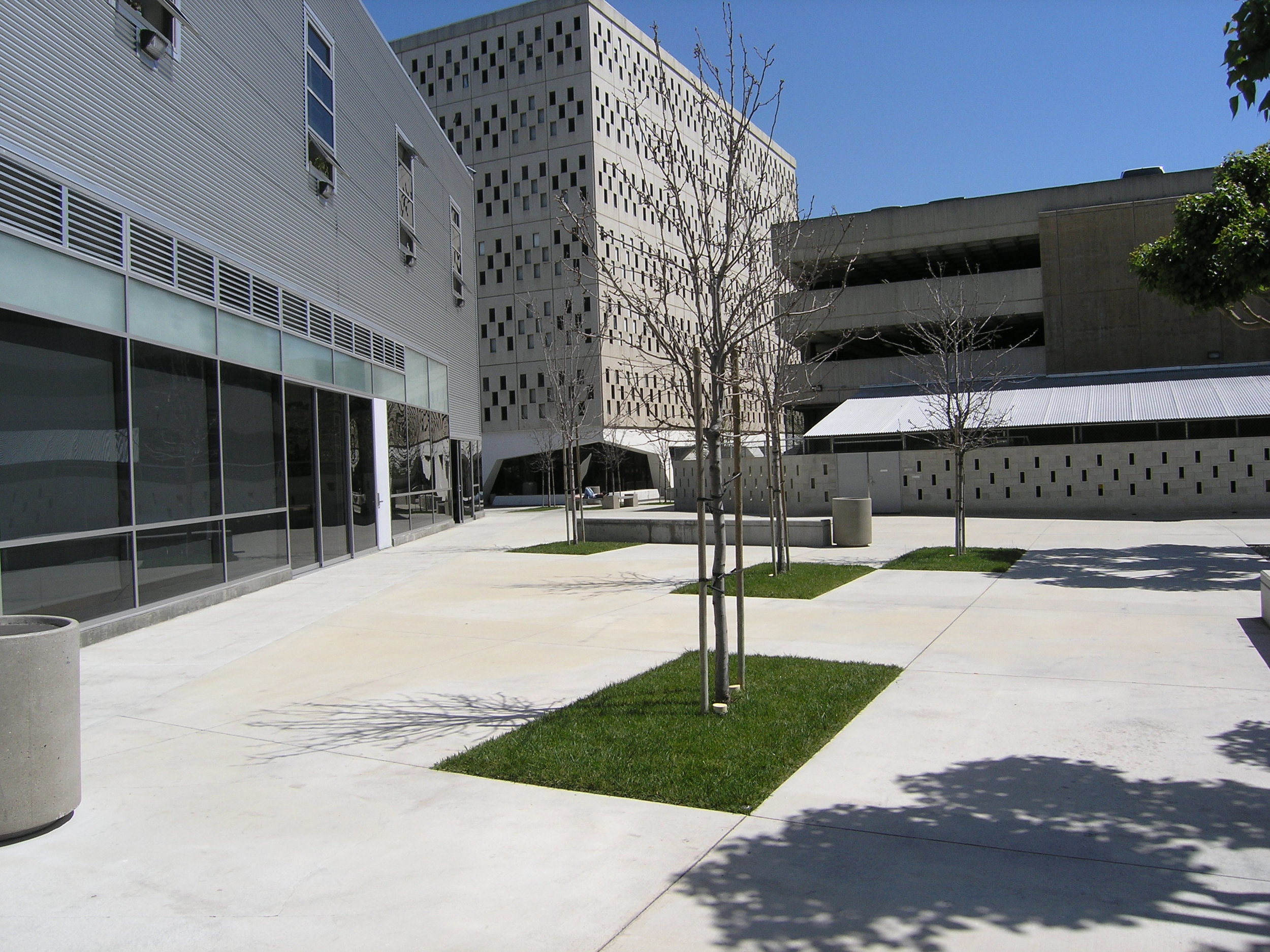 丨美国洛杉矶-23