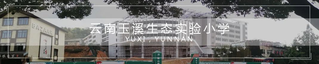 玉溪一中食堂升级,校园食堂 3.0 引领新时代-153