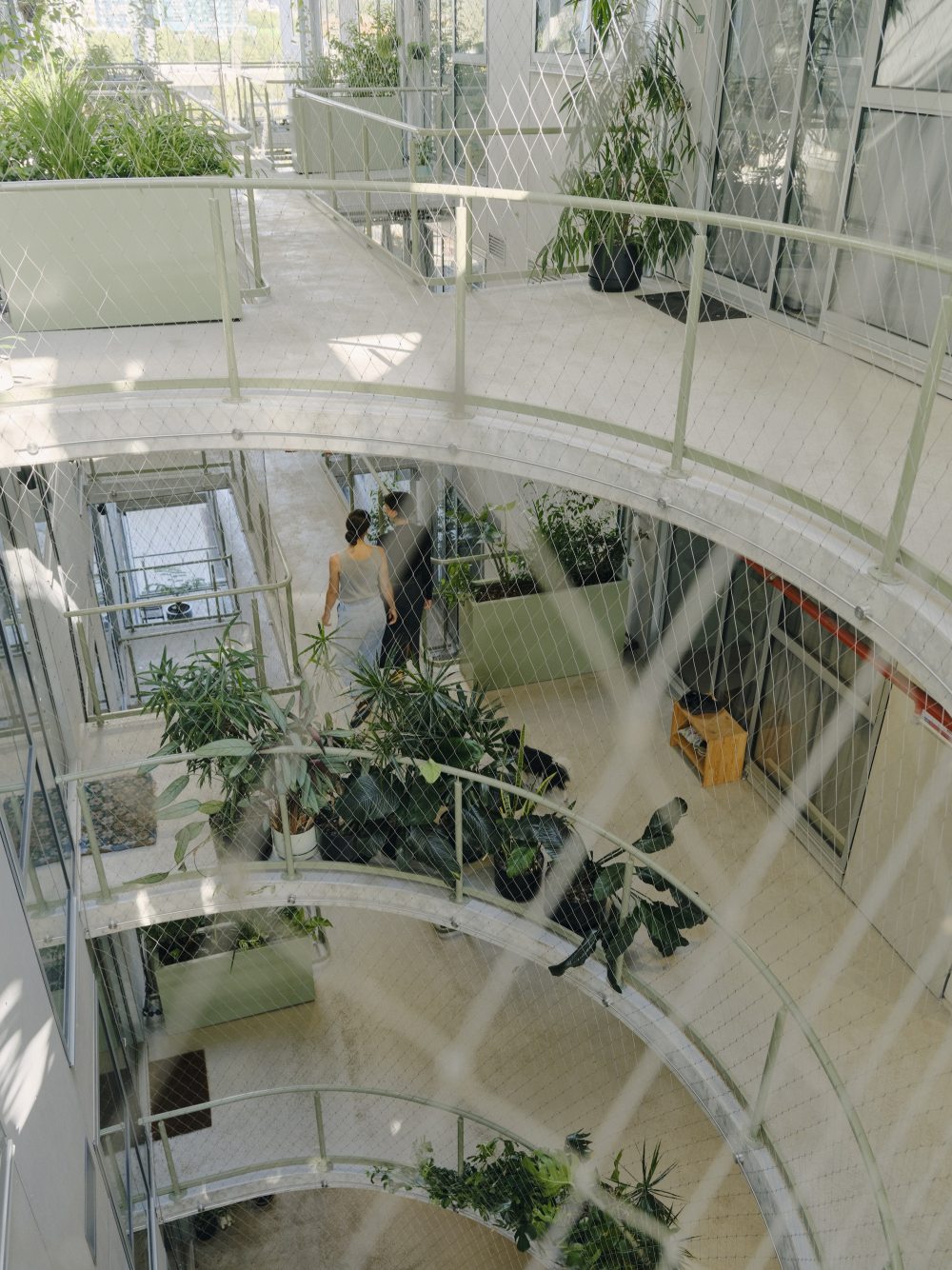 Albermarle街38号公寓楼丨澳大利亚墨尔本丨Fieldwork-29