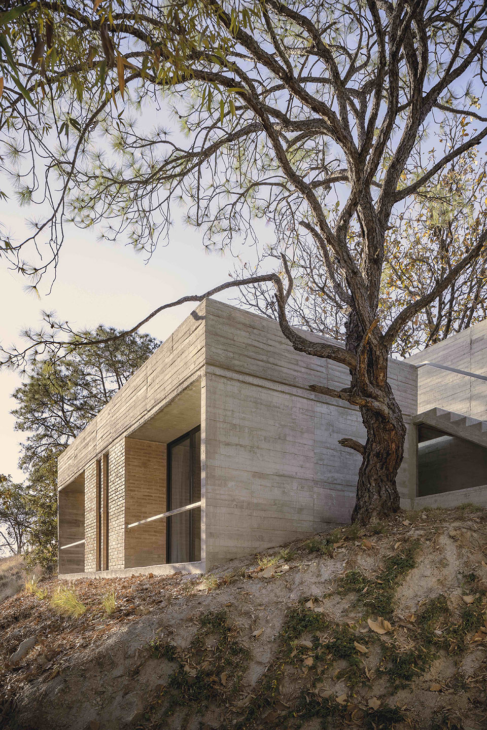 AMAPA 住宅丨墨西哥瓜达拉哈拉丨Pérez Gómez Arquitectura-15