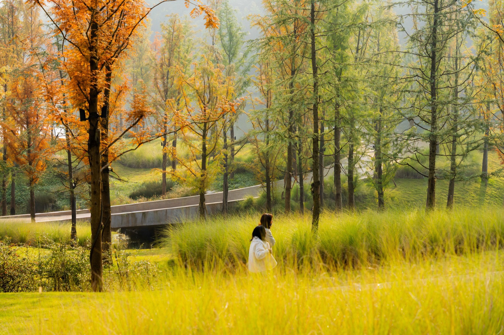 重庆麓溪湖·原滩公园丨中国重庆丨WTD纬图设计-51