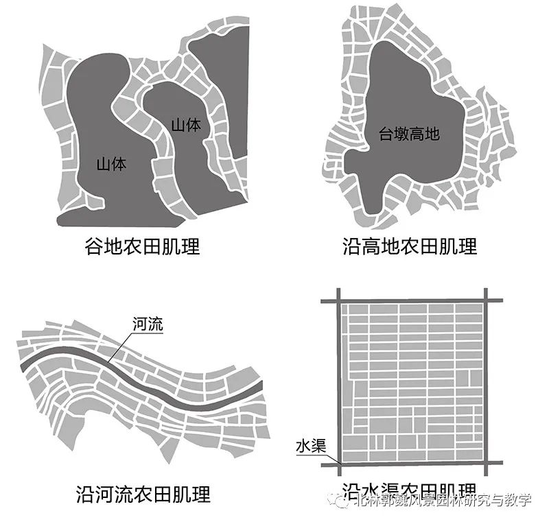 洞庭湖区堤垸景观研究-74
