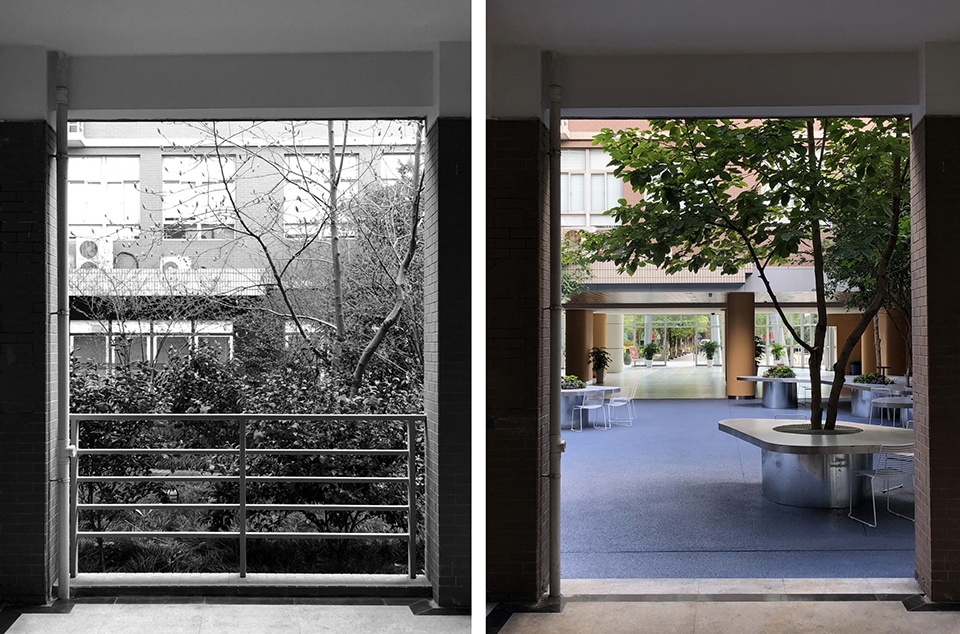 上海市实验学校中心庭院改造丨大观(上海大观景观设计有限公司)-50