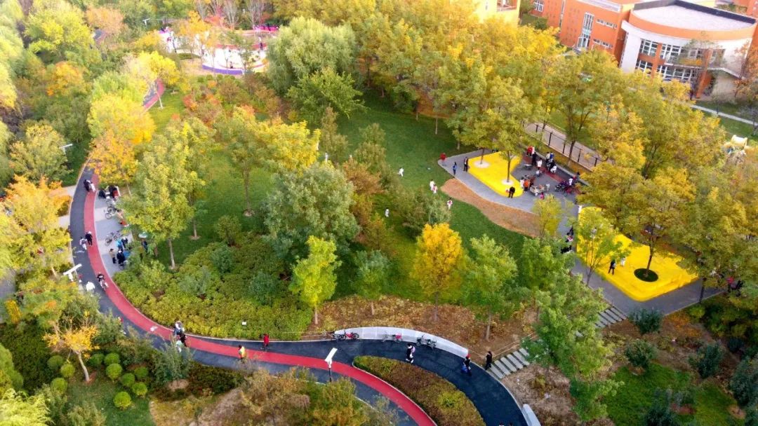 经开区9号绿地景观提升项目(海棠公园)丨中国北京丨北林地景-41