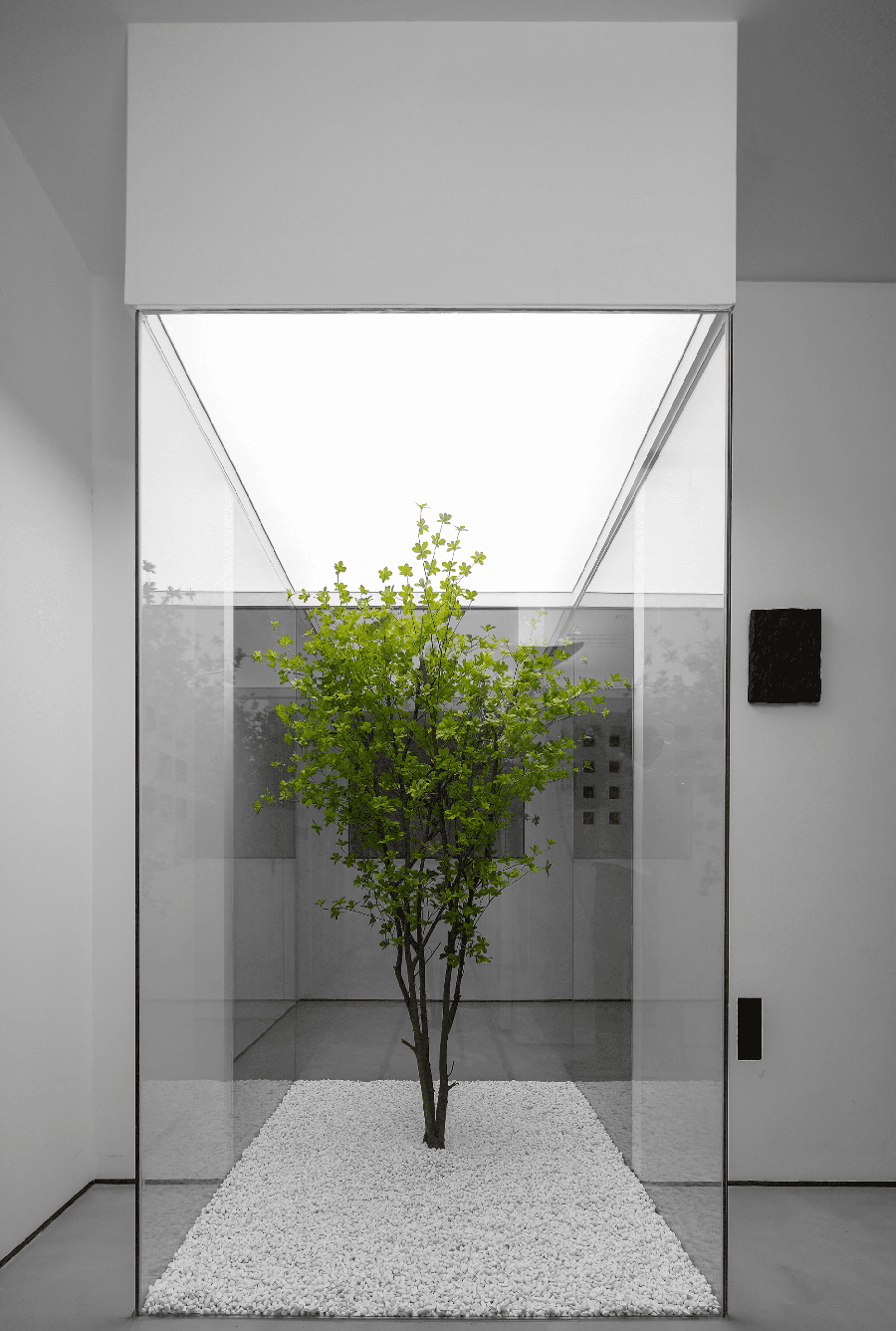 光影演绎,色彩赋予空间生命力丨中国深圳-25