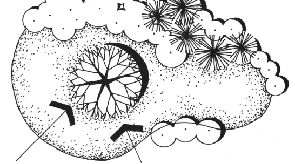 园林景观植物绿化设计方法解析-3