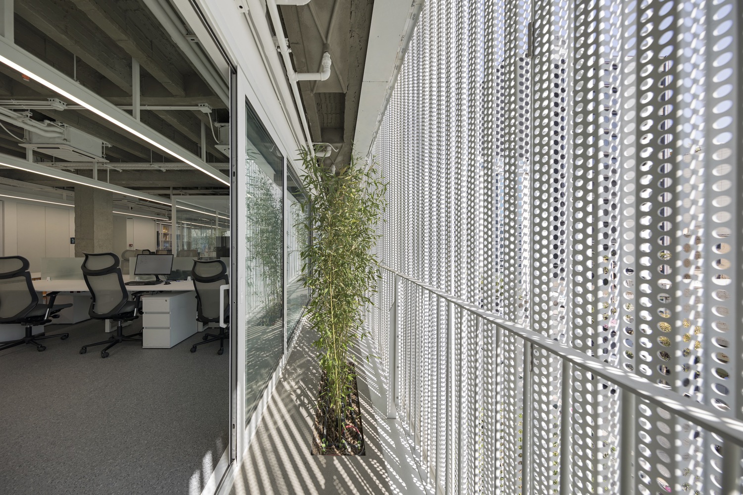 白装修办公楼丨伊朗德黑兰-11