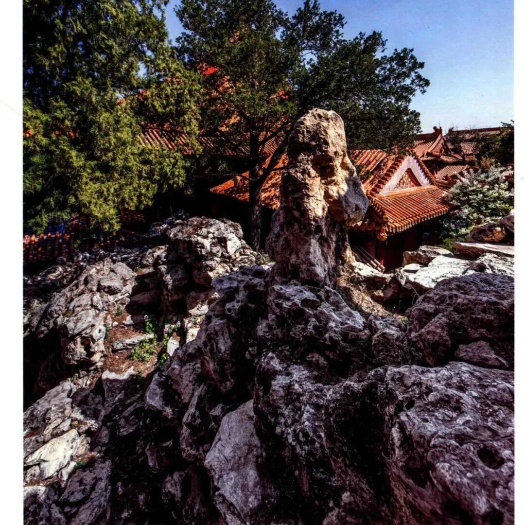 乾隆花园的“实验”与“写仿”-162