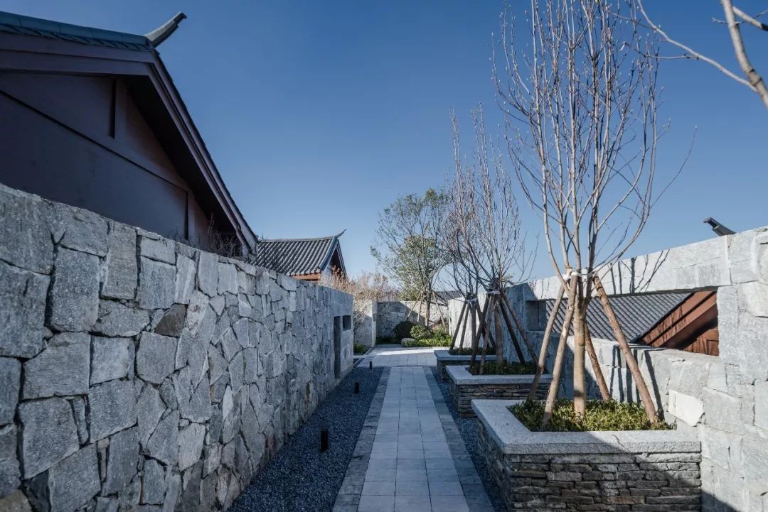 入世而出尘丨云南白药·大理健康养生创意园-123