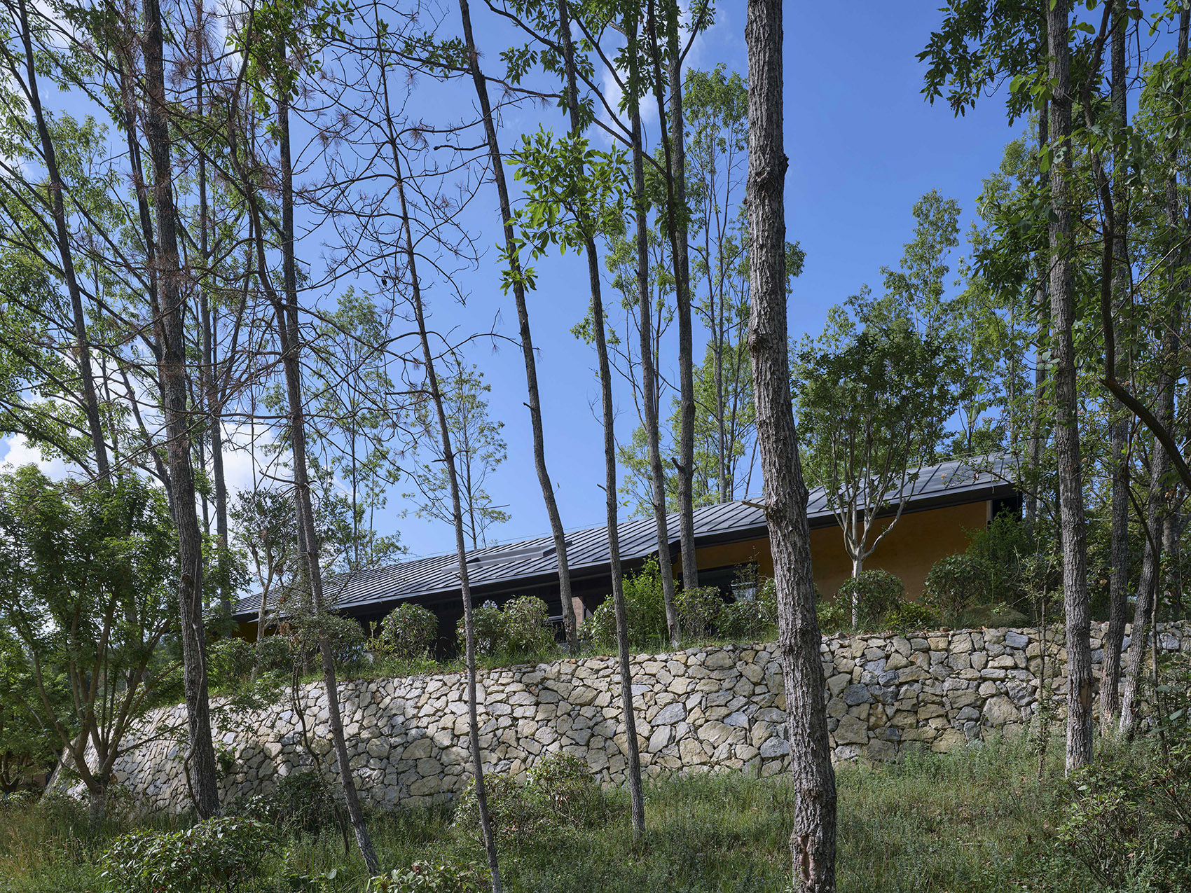 陕西汉中欢喜山森林生活公园丨中国汉中丨为至工作室-34