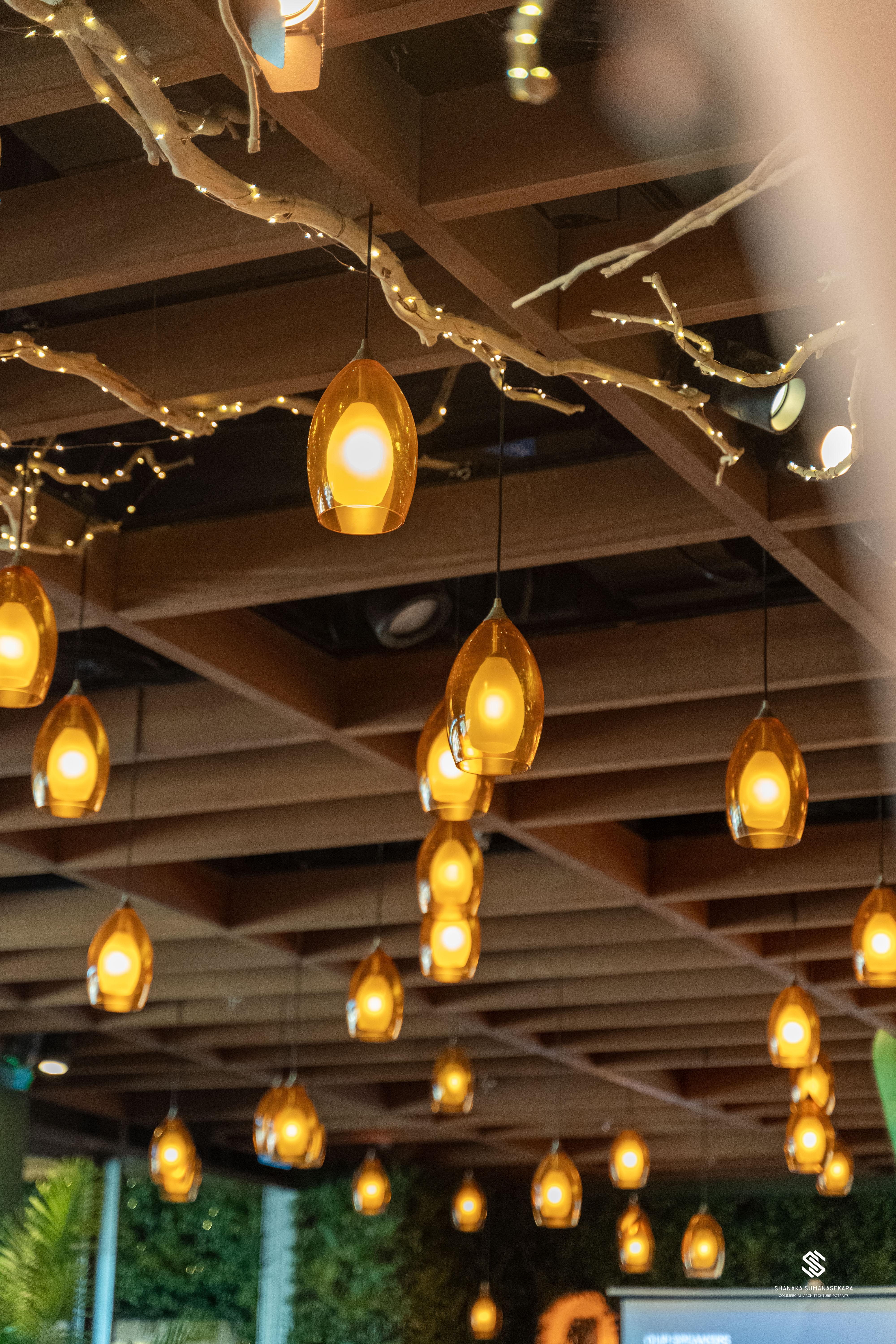 丨United Arab EmiratesDubai-18