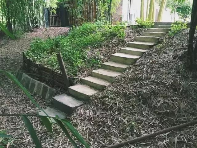 她徒手爆改废弃院子,三人一猫一狗,过着最诗意的生活!-56