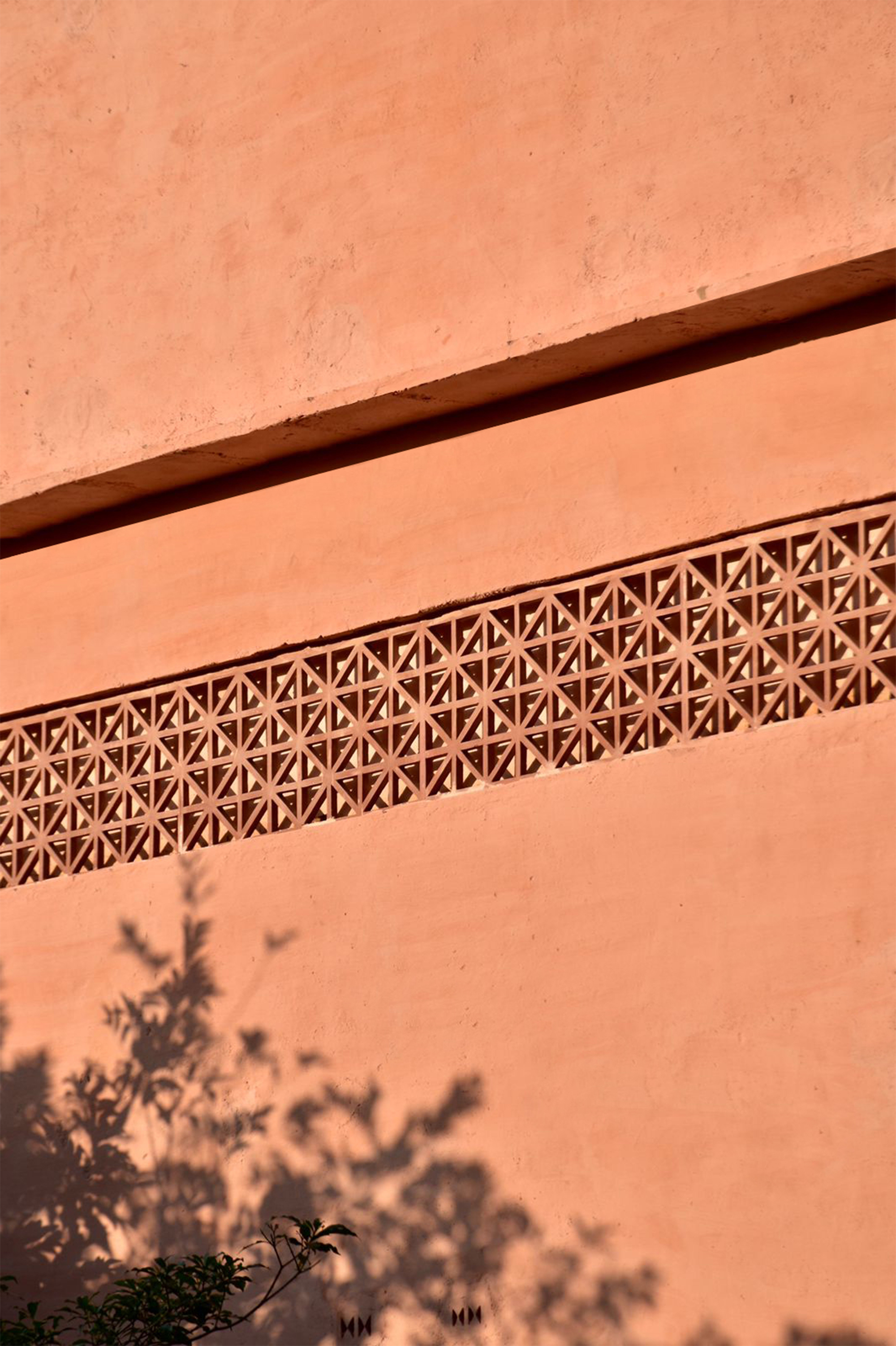 皇家花园游客中心丨印度丨Dharatal-34