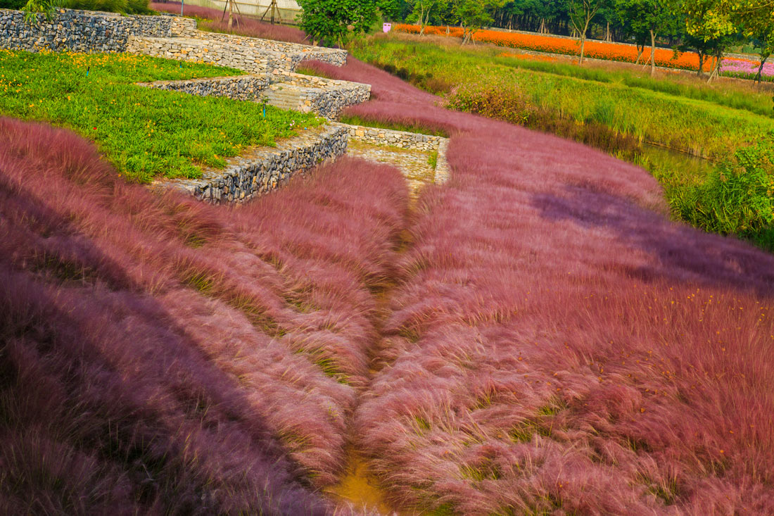 宿迁三台山花田织锦丨中国宿迁丨土人设计（Turenscape）-26