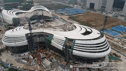 中国最大、最靓的“蝴蝶”惊现广西柳州！-36