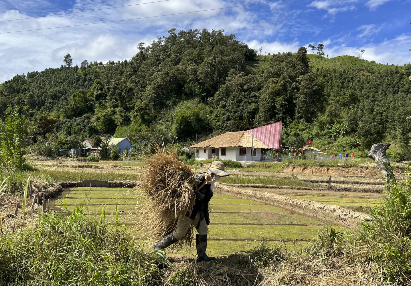越南公鸡学校丨1+1》2 名建筑师-6