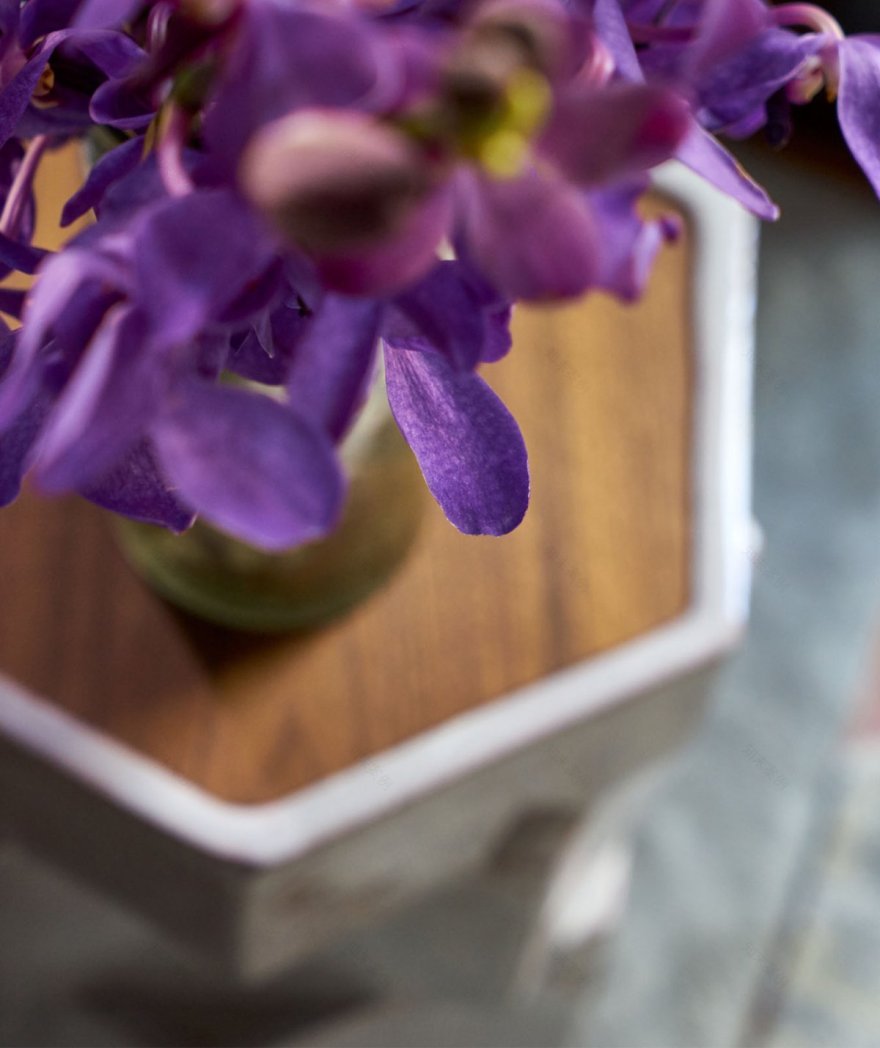 Elena Frampton 的布鲁克林高地别墅设计 | 树冠下的经典空间-9