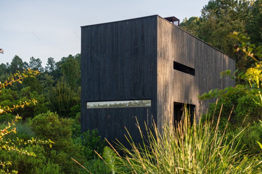 墨西哥雨水收集之家丨Robert Hutchison Architecture + JSa-137