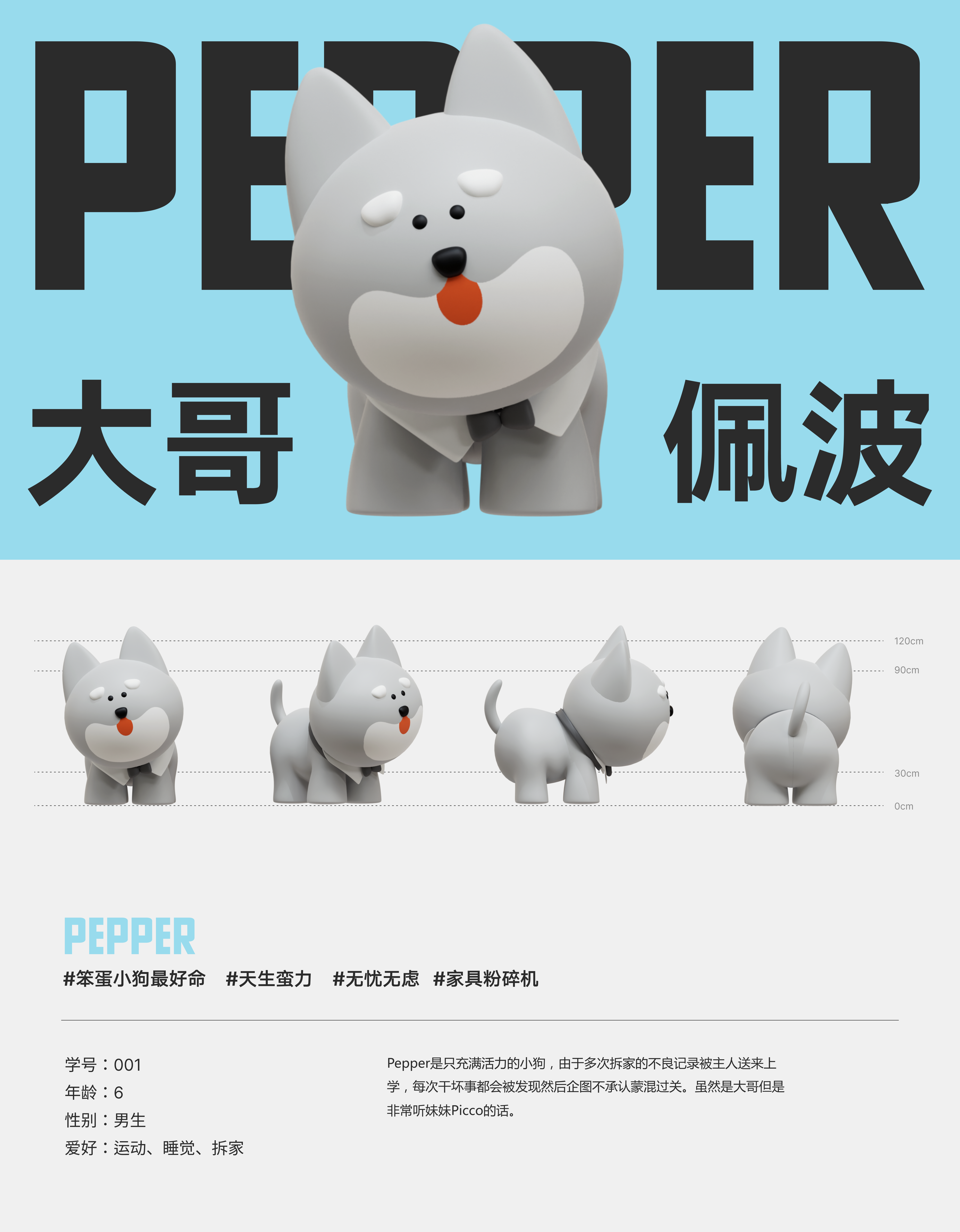 WILLPET宠物品牌IP设计·Pepper&Picco丨whateverbrand-6