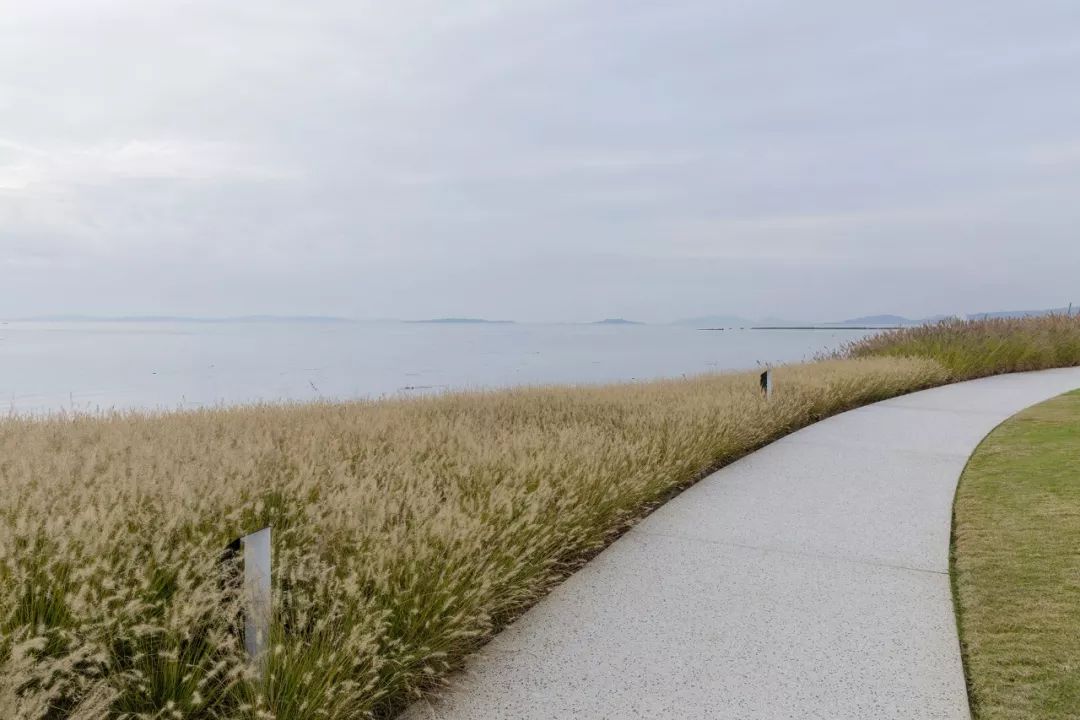 《雁归来》 | 水乡文化的现代解读-124