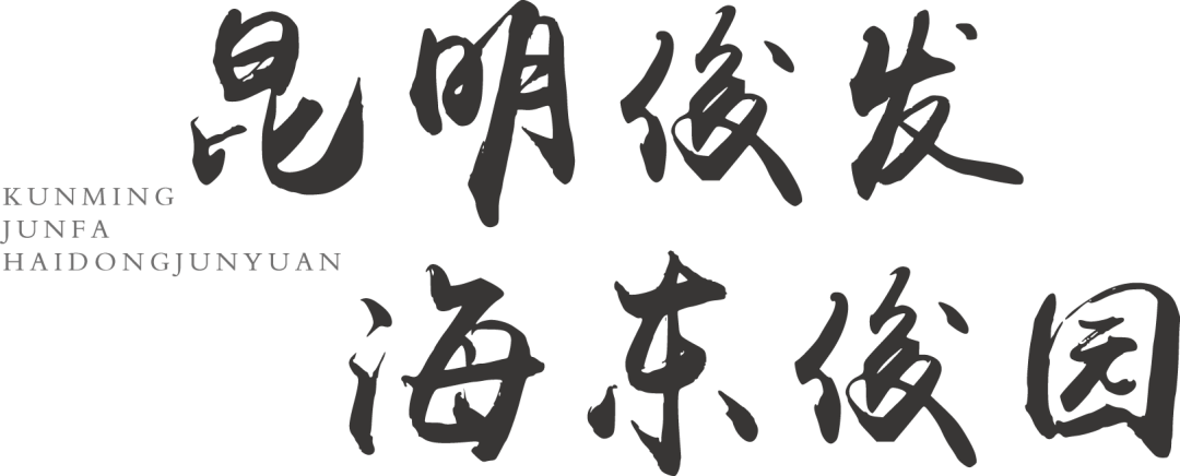 森拓筑语 | 昆明俊发海东俊园 | 湿地生态,人居臻境-4