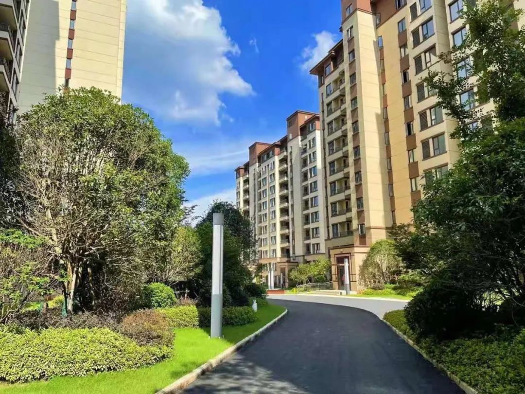 当家 | 九月，我们在抚州相遇-18